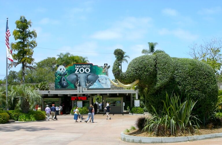 Les 8 Plus Grands Zoos Voyage Parmi les Géants Animaliers — free download